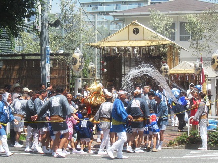 深川八幡祭り へ行った（2024年） | はち・たまウォーク＆ラン日記