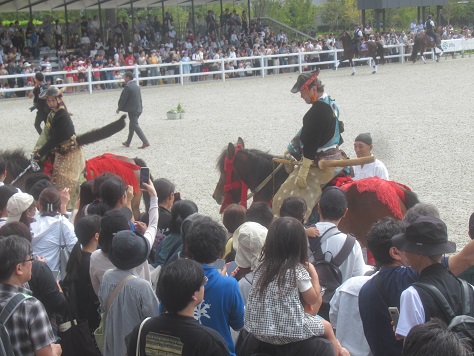 JRA馬事公苑の「愛馬の日」に行った | はち・たまウォーク＆ラン日記