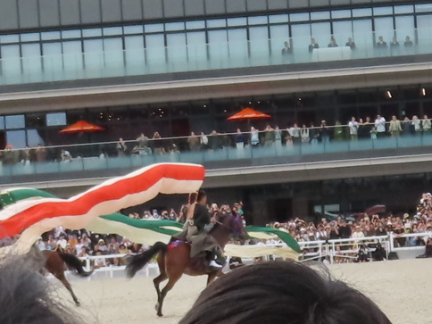 JRA馬事公苑で 第50回愛馬の日 へ行った | はち・たまウォーク＆ラン日記